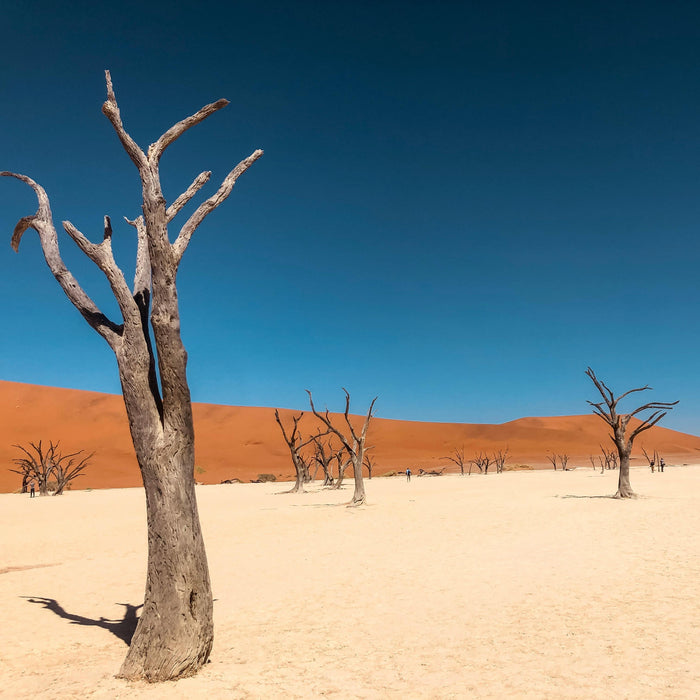 Afrique