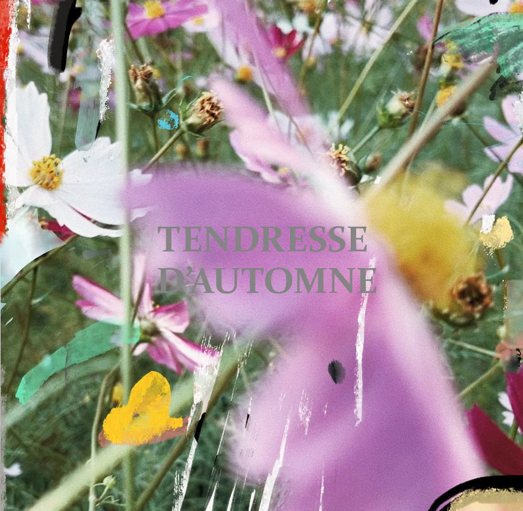 Tendresse d’automne